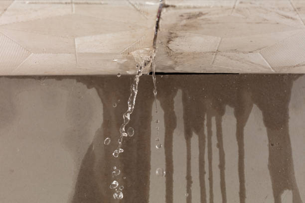 Professional Structural Drying technician working in Freeland, PA